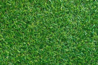 Arka plan için yeşil çim dokusu. Yeşil çim desen ve doku arka plan. üstten görünüm.