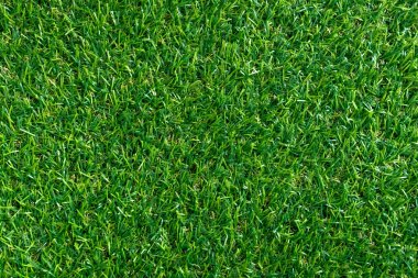 Arka plan için yeşil çim dokusu. Yeşil çim desen ve doku arka plan. üstten görünüm.