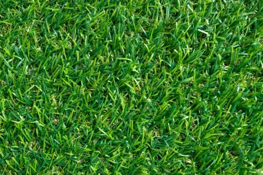 Arka plan için yeşil çim dokusu. Yeşil çim desen ve doku arka plan. üstten görünüm.