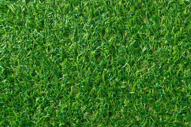 Arka plan için yeşil çim dokusu. Yeşil çim desen ve doku arka plan. üstten görünüm.