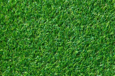 Arka plan için yeşil çim dokusu. Yeşil çim desen ve doku arka plan. üstten görünüm.