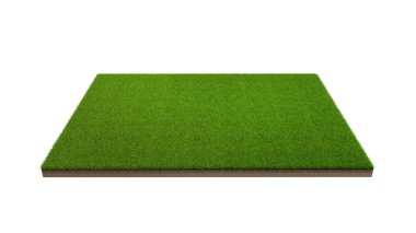 3D render izole kırpma yolu ile beyaz zemin üzerine yeşil çim alanın. Spor alanı. Egzersiz ve eğlence yeri.