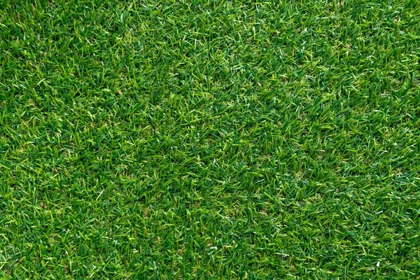 Arka Plan Için Yeşil Çim Dokusu Yeşil Çim Desen Doku — Stok fotoğraf
