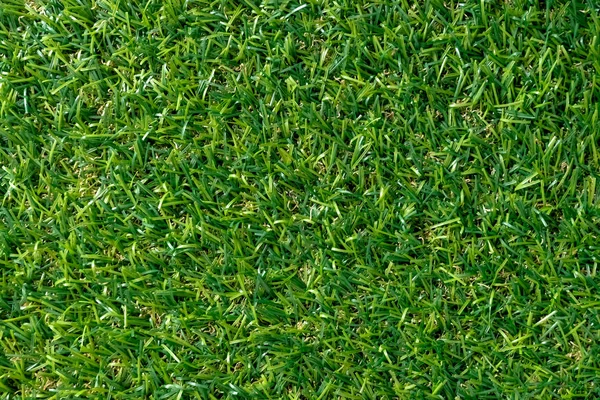 Green Grass Texture Background Green Lawn Pattern Texture Background Top — Stock Photo, Image