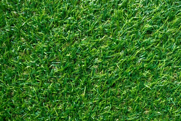Grünes Gras Textur Für Hintergrund Grüne Rasenmuster Und Textur Hintergrund — Stockfoto