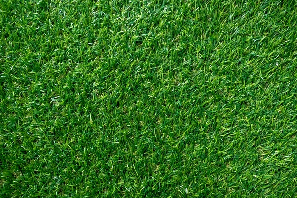 Textura Hierba Verde Para Fondo Patrón Césped Verde Fondo Textura — Foto de Stock