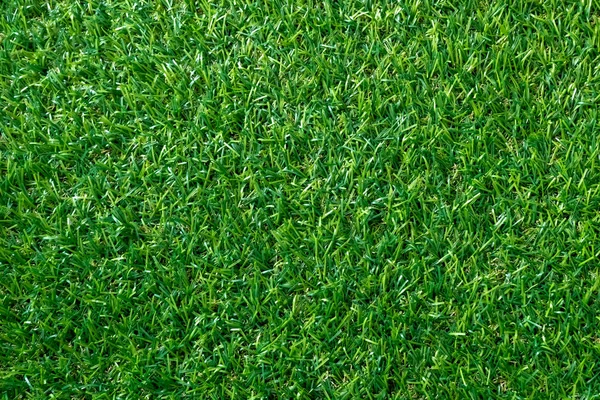 Green Grass Texture Background Green Lawn Pattern Texture Background Top — Stock Photo, Image
