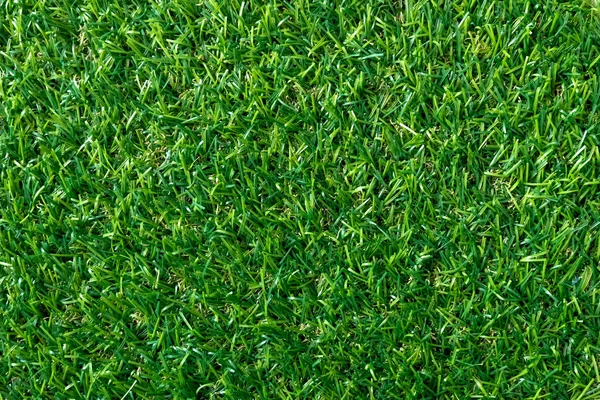 Green Grass Texture Background Green Lawn Pattern Texture Background Top — Stock Photo, Image