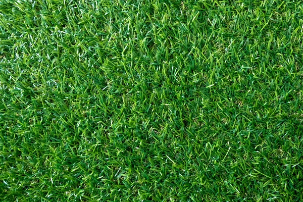 Green Grass Texture Background Green Lawn Pattern Texture Background Top — Stock Photo, Image