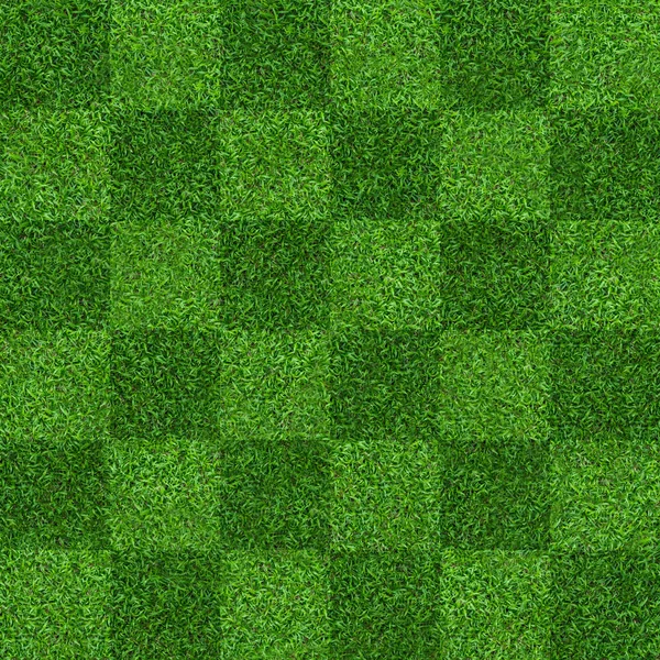 Green grass field background for soccer and football sports. Green lawn pattern and texture background. Close-up image.