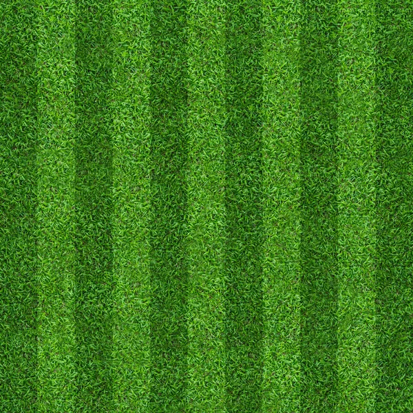 Green Grass Field Background Soccer Football Sports Green Lawn Pattern — Stock Photo, Image