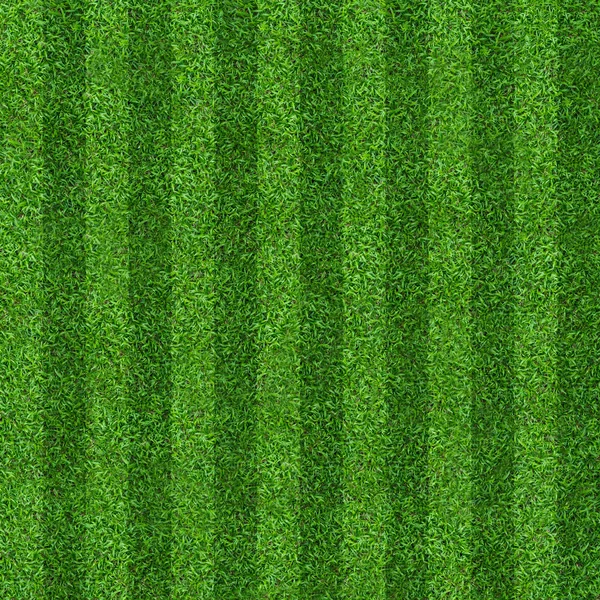 Green Grass Field Background Soccer Football Sports Green Lawn Pattern — Stock Photo, Image