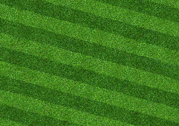 Campo Grama Verde Fundo Para Esportes Futebol Futebol Padrão Gramado — Fotografia de Stock