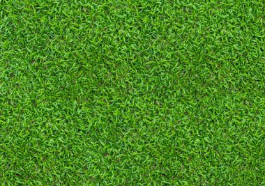 Yeşil çim alanın arka plan. Yeşil çim desen ve doku. Yeşil çim arka plan.