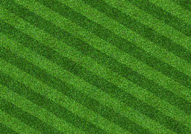Green grass field background for soccer and football sports. Green lawn pattern and texture background. Close-up image. clipart