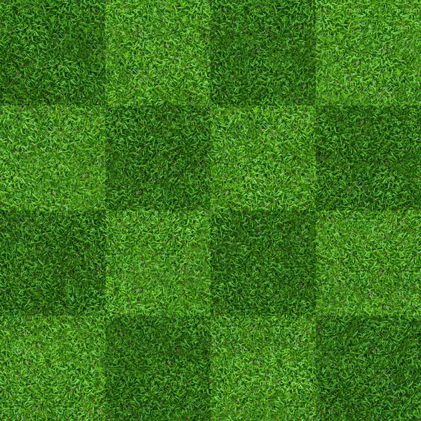 Green Grass Field Background Soccer Football Sports Green Lawn Pattern — Stock Photo, Image