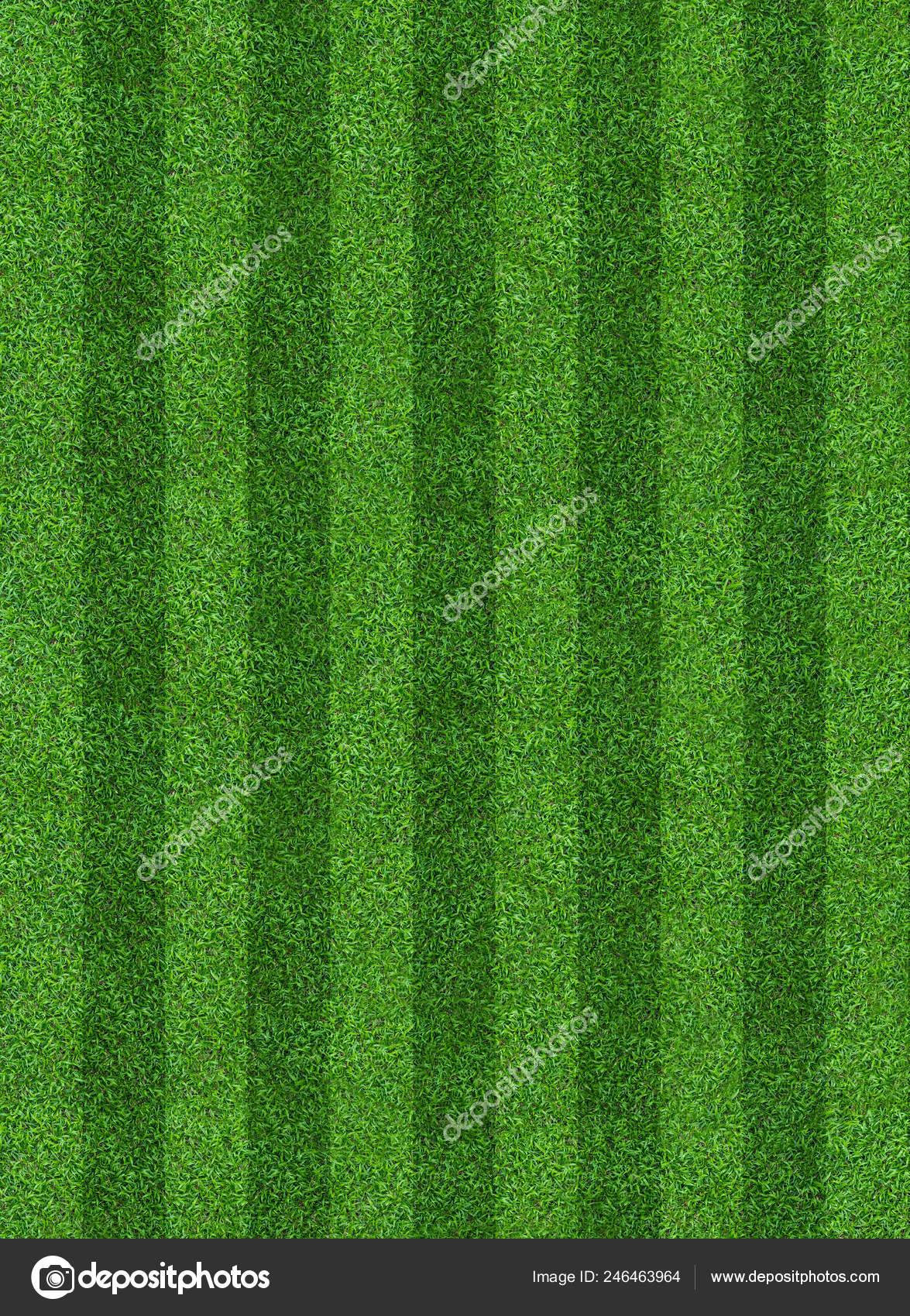 Green Grass Field Background Soccer Football Sports Green Lawn Pattern Stock Photo Image By C Praew P 1985 Hotmail Com 246463964