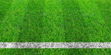 Yeşil çim futbol sahası, futbol satırında. Yeşil çim alan pat