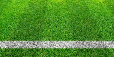 Yeşil çim futbol sahası, futbol satırında. Yeşil çim alan pat