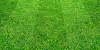 Futbol ve futbol spo için yeşil çim alan desen arka plan