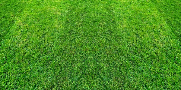 Achtergrond van het patroon van groen gras van een veld voor voetbal en voetbal spo — Stockfoto