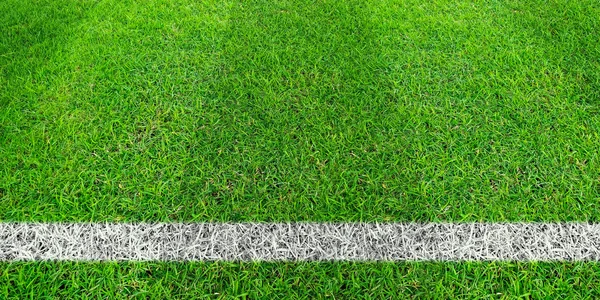 Linea di calcio in erba verde del campo di calcio. prato prato verde tappetino — Foto Stock