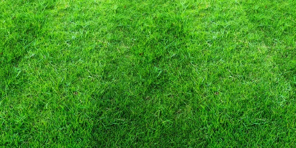 Grama verde campo fundo padrão para futebol e futebol spo — Fotografia de Stock