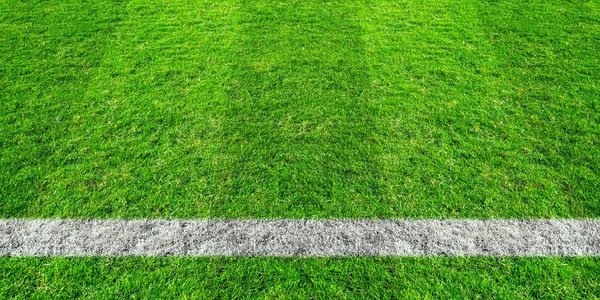 Футбольная линия в зеленой траве футбольного поля. Зелёная лужайка — стоковое фото