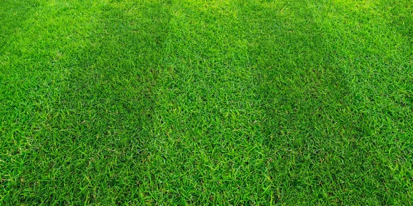Fond vert de motif de champ d'herbe pour le football et le football spo — Photo