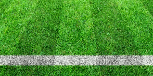 Linha de futebol na grama verde do campo de futebol. Gramado verde campo pat — Fotografia de Stock