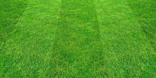 Verde erba campo modello di sfondo per calcio e calcio spo — Foto Stock