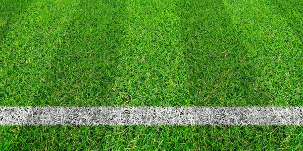 Soccer line in green grass of soccer field. Green lawn field pat — Stock Photo, Image