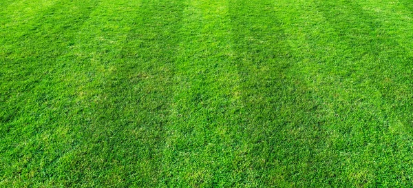 Verde erba campo modello di sfondo per calcio e calcio spo — Foto Stock