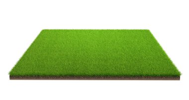 3D render izole kırpma yolu ile beyaz zemin üzerine yeşil çim alanın. Spor alanı. Egzersiz ve eğlence yeri.