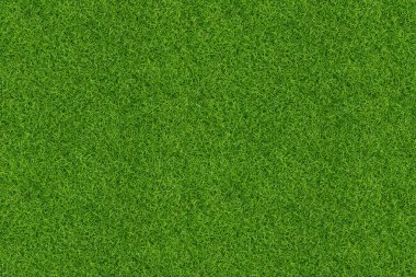 Arka plan için yeşil çimen dokusu. Yeşil çimen deseni ve doku arkaplanı. Yakın plan..