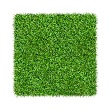 Arka plan için yeşil çimen dokusu. Yeşil çimen deseni ve doku arkaplanı. Yakın plan..