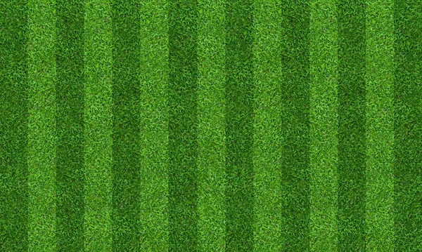 Green grass field background for soccer and football sports. Gre