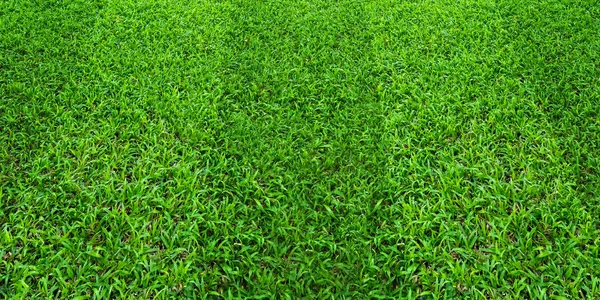 Achtergrond van het patroon van groen gras van een veld voor voetbal en voetbal spo — Stockfoto