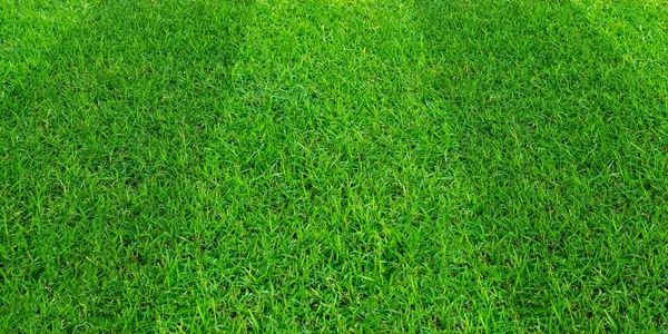 Achtergrond van het patroon van groen gras van een veld voor voetbal en voetbal spo — Stockfoto