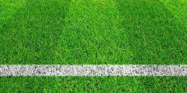 Voetbal lijn in groene gras van een voetbalveld. Groen gazon veld pat — Stockfoto