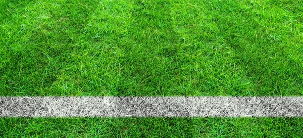 Soccer line in green grass of soccer field. Green lawn field pat — Stock Photo, Image