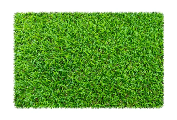 Hierba Verde Fondo Textura Natural Hierba Verde Primavera Fresca Aislado — Foto de Stock