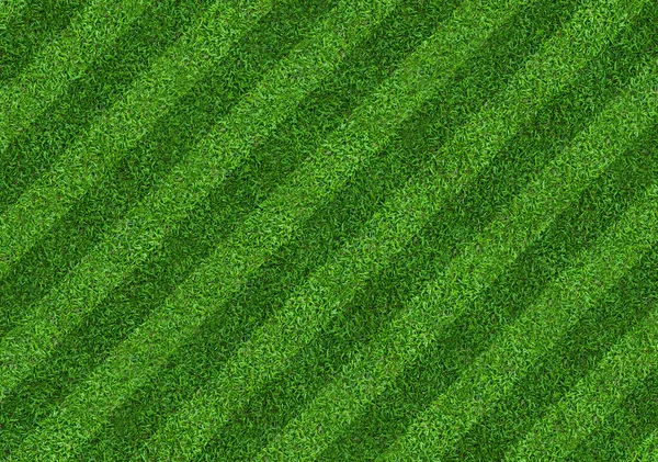 Green grass field background for soccer and football sports. Gre