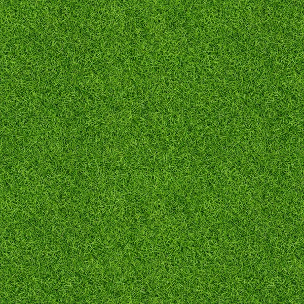 Grön Gräs Struktur För Bakgrund Grön Gräsmatta Mönster Och Konsistens — Stockfoto