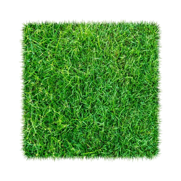 Green Grass Texture Background Green Lawn Pattern Texture Background Close — Stock Photo, Image