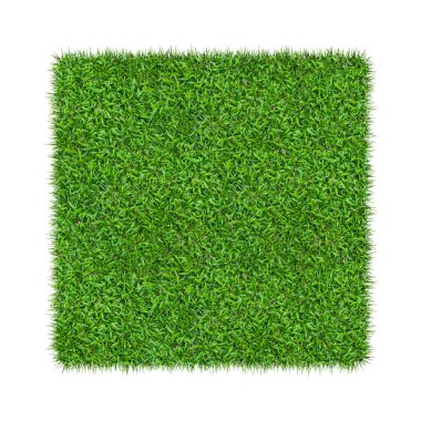 Arka plan için yeşil çimen dokusu. Yeşil çimen deseni ve doku arkaplanı. Yakın plan..