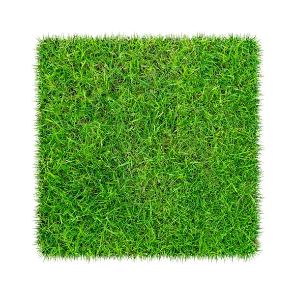 Zielona Konsystencja Trawy Tło Zielony Wzór Trawnika Tło Tekstury Zbliżenie — Zdjęcie stockowe