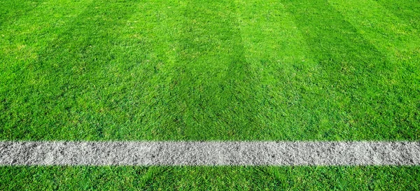 Soccer line in green grass of soccer field. Green lawn field pat — Stock Photo, Image