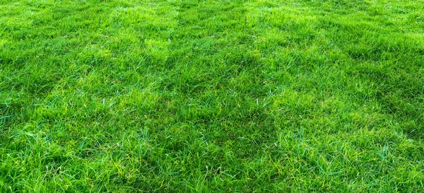 Zöld fű mező mintás háttérrel a futball és futball spo — Stock Fotó
