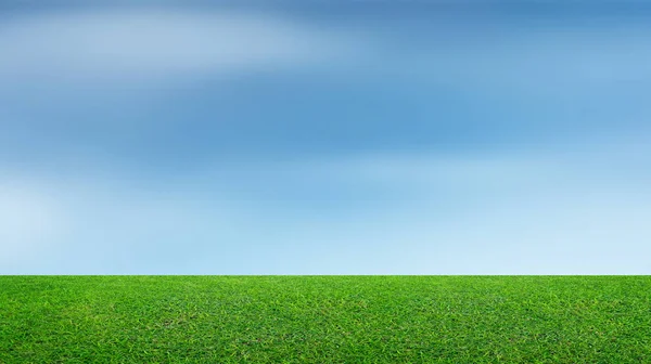 Landscape of grass field and green environment park use as natur — Stock Photo, Image